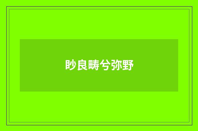 眇良畴兮弥野