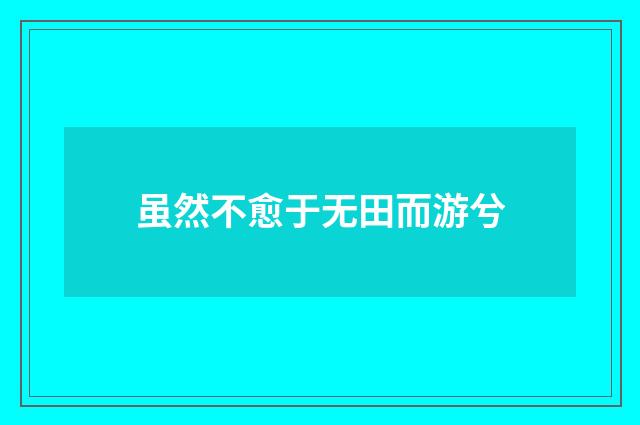 虽然不愈于无田而游兮