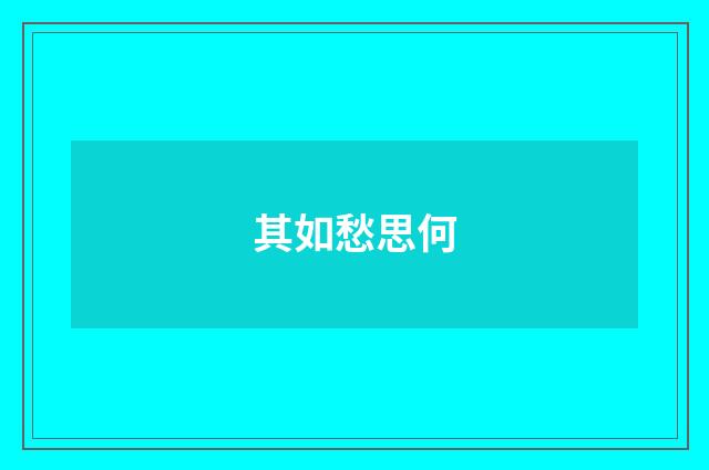 其如愁思何