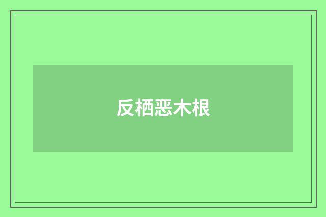 反栖恶木根