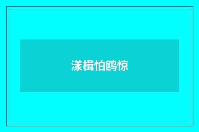 漾楫怕鸥惊