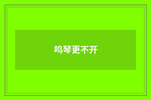 鸣琴更不开