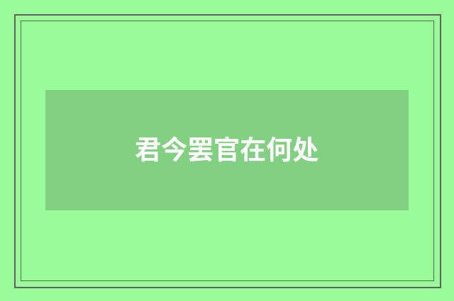 君今罢官在何处