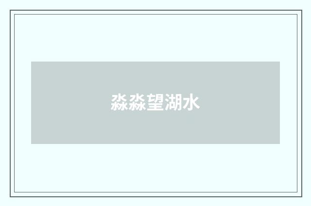 淼淼望湖水