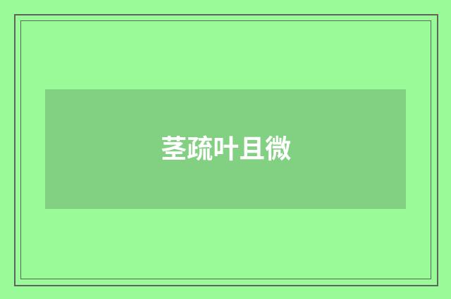 茎疏叶且微