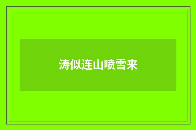 涛似连山喷雪来