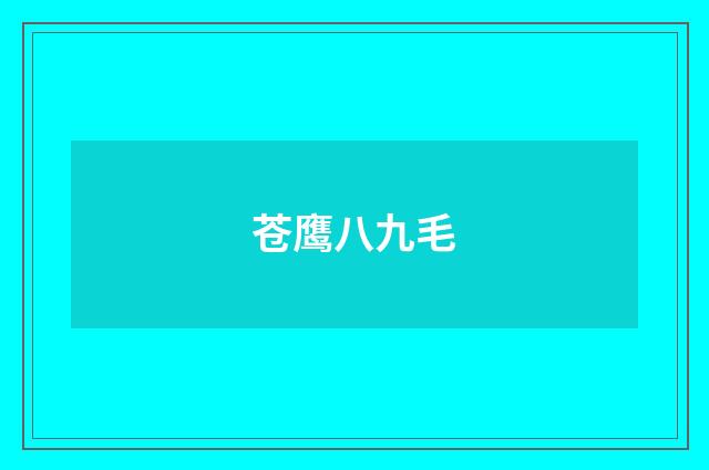 苍鹰八九毛