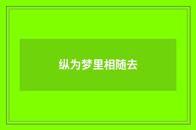 纵为梦里相随去
