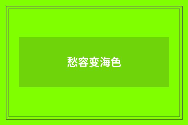 愁容变海色