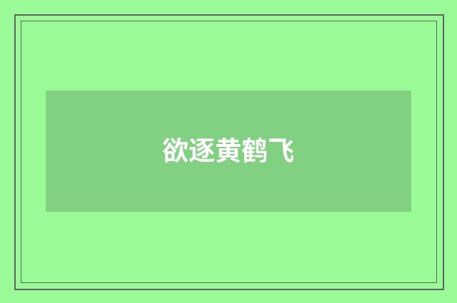 欲逐黄鹤飞
