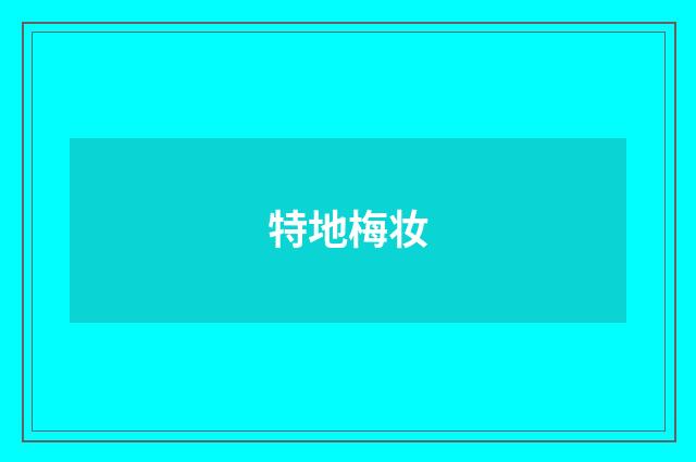 特地梅妆