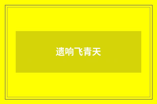 遗响飞青天