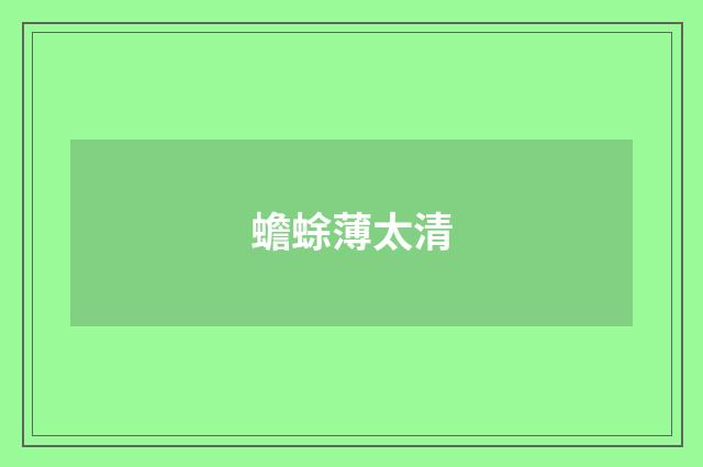 蟾蜍薄太清