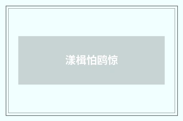 漾楫怕鸥惊