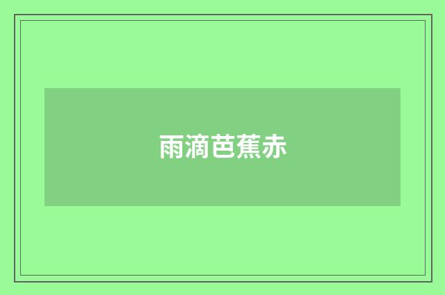 雨滴芭蕉赤
