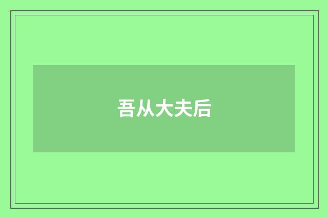 吾从大夫后