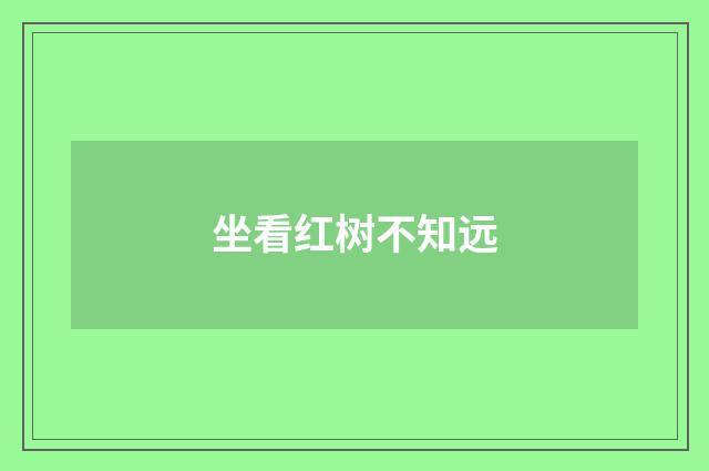 坐看红树不知远