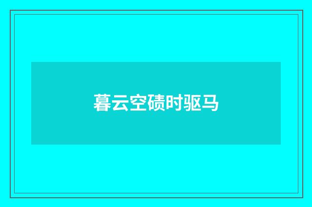 暮云空碛时驱马