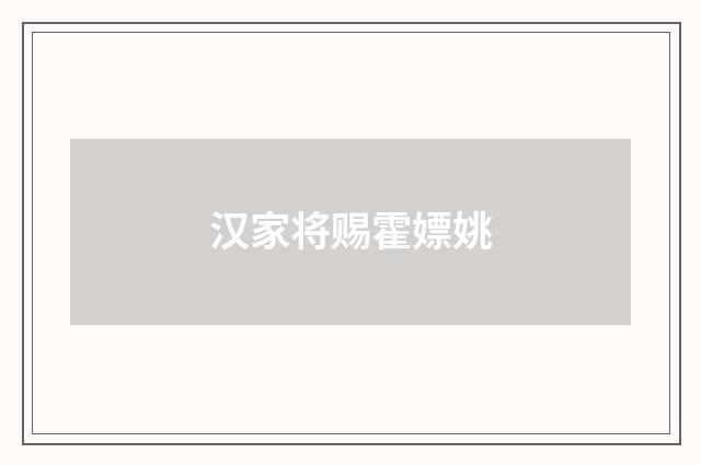 汉家将赐霍嫖姚