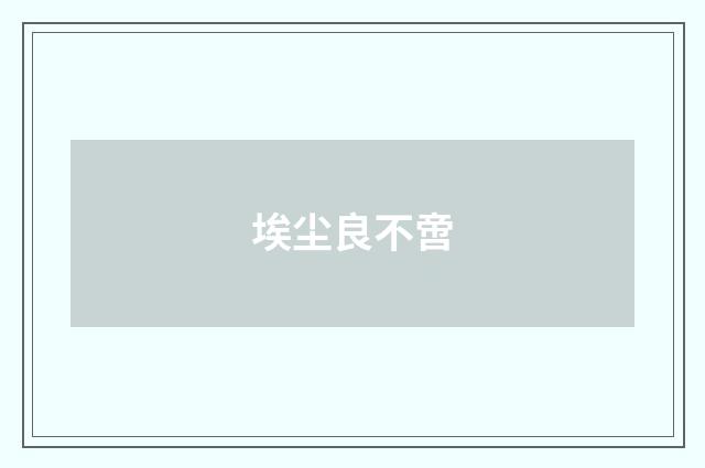 埃尘良不啻