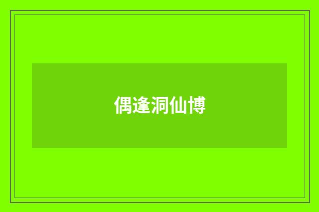 偶逢洞仙博