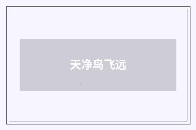 天净鸟飞远