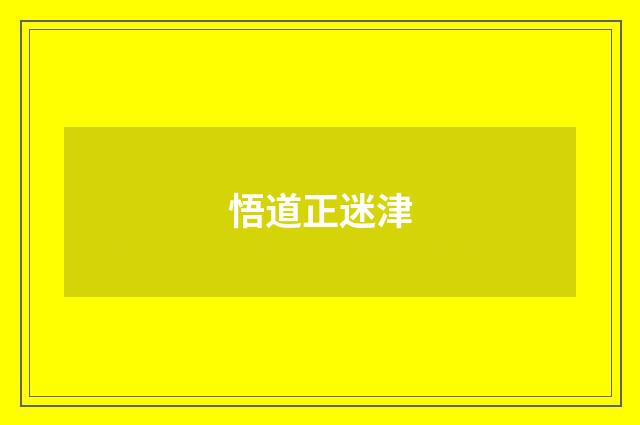 悟道正迷津