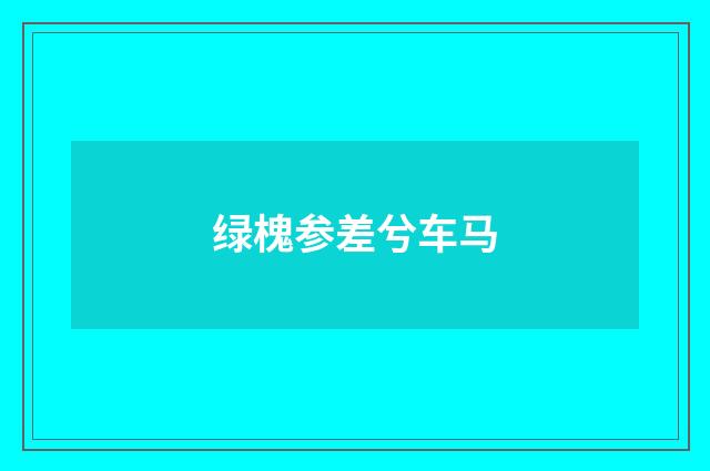 绿槐参差兮车马