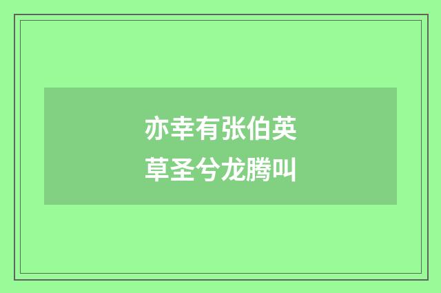 亦幸有张伯英草圣兮龙腾叫