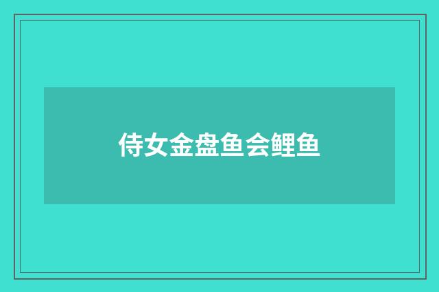 侍女金盘鱼会鲤鱼