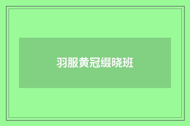 羽服黄冠缀晓班