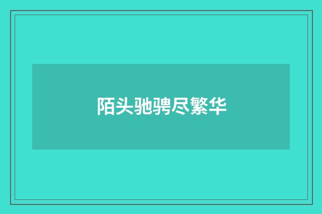 陌头驰骋尽繁华