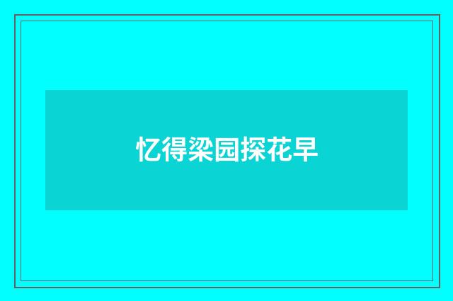 忆得梁园探花早