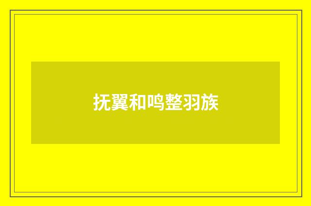 抚翼和鸣整羽族