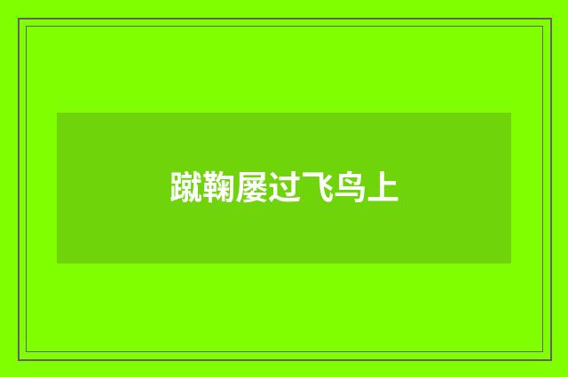 蹴鞠屡过飞鸟上