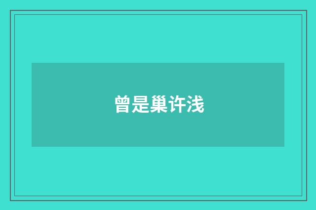 曾是巢许浅