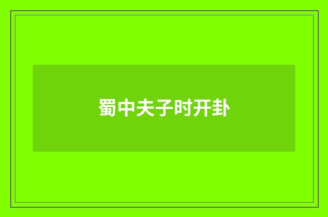 蜀中夫子时开卦