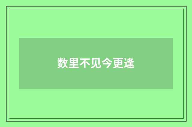 数里不见今更逢