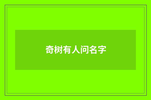 奇树有人问名字