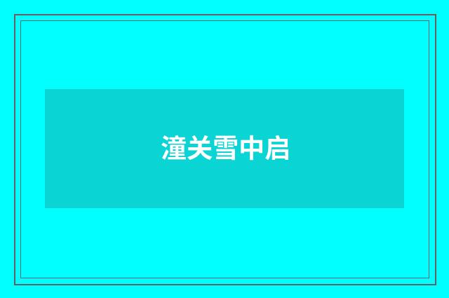 潼关雪中启