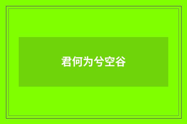 君何为兮空谷