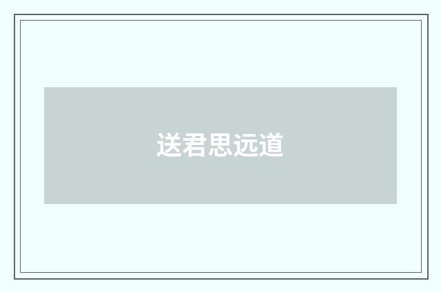 送君思远道