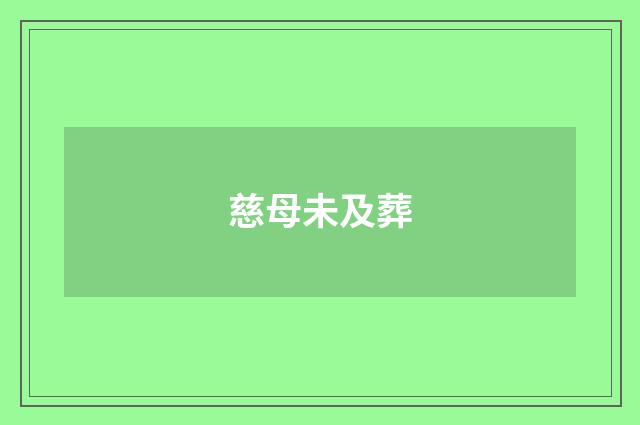 慈母未及葬