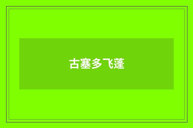 古塞多飞蓬