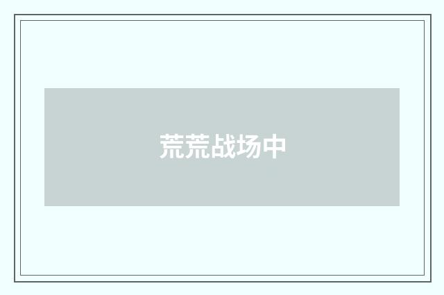 荒荒战场中