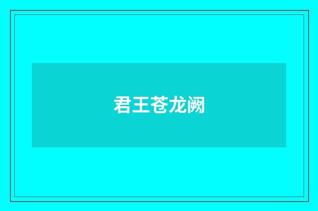 君王苍龙阙