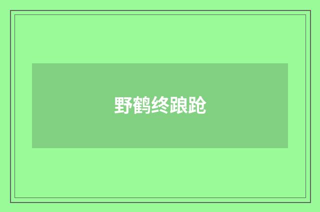 野鹤终踉跄