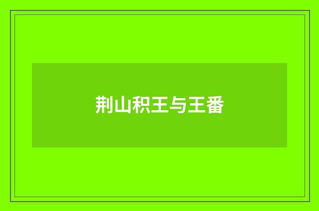荆山积王与王番