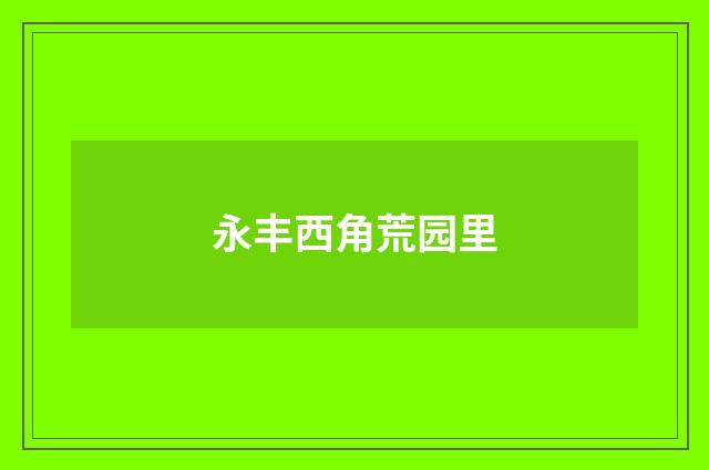 永丰西角荒园里