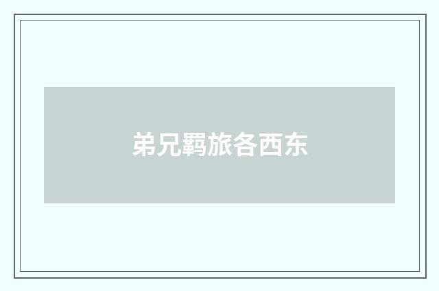 弟兄羁旅各西东
